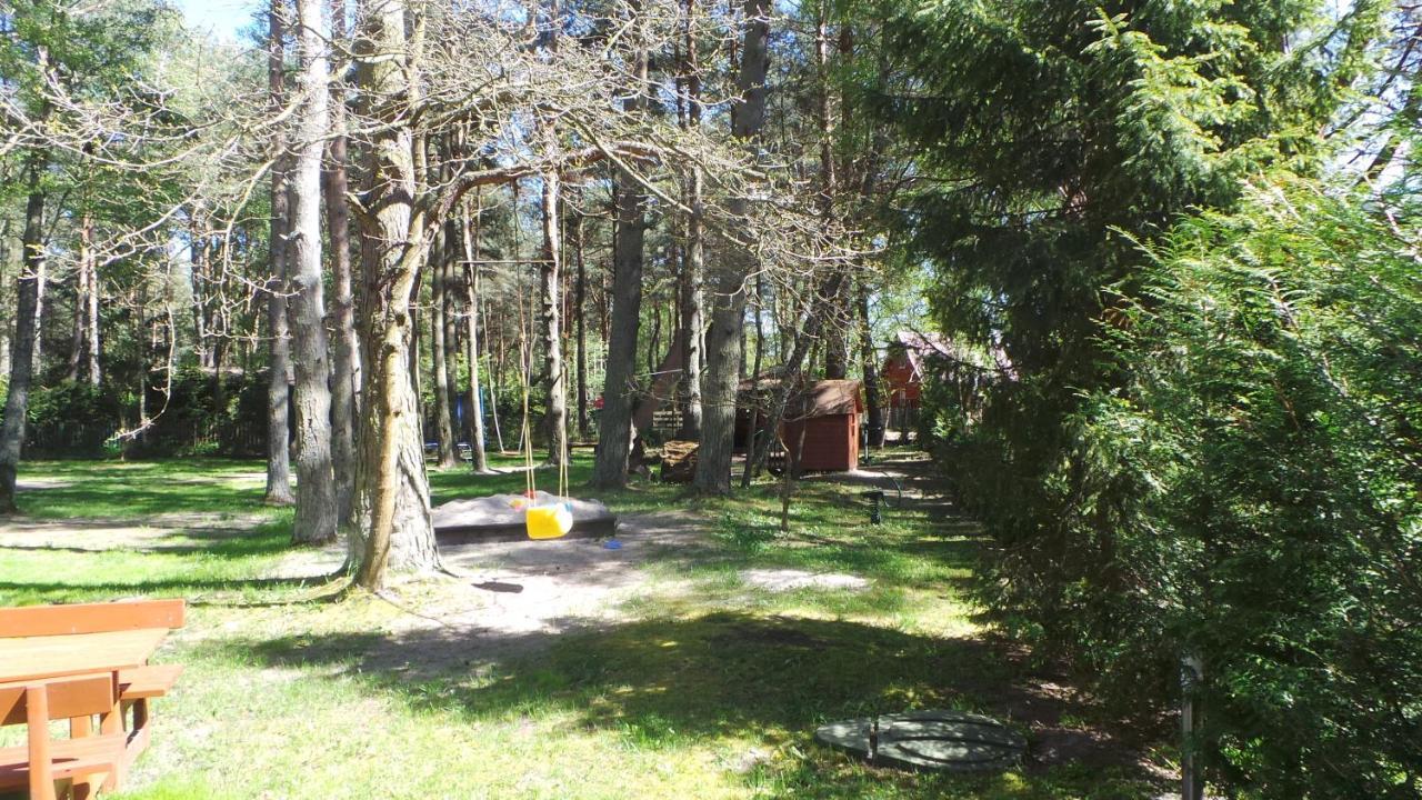 Lesne Tarasy * Debki